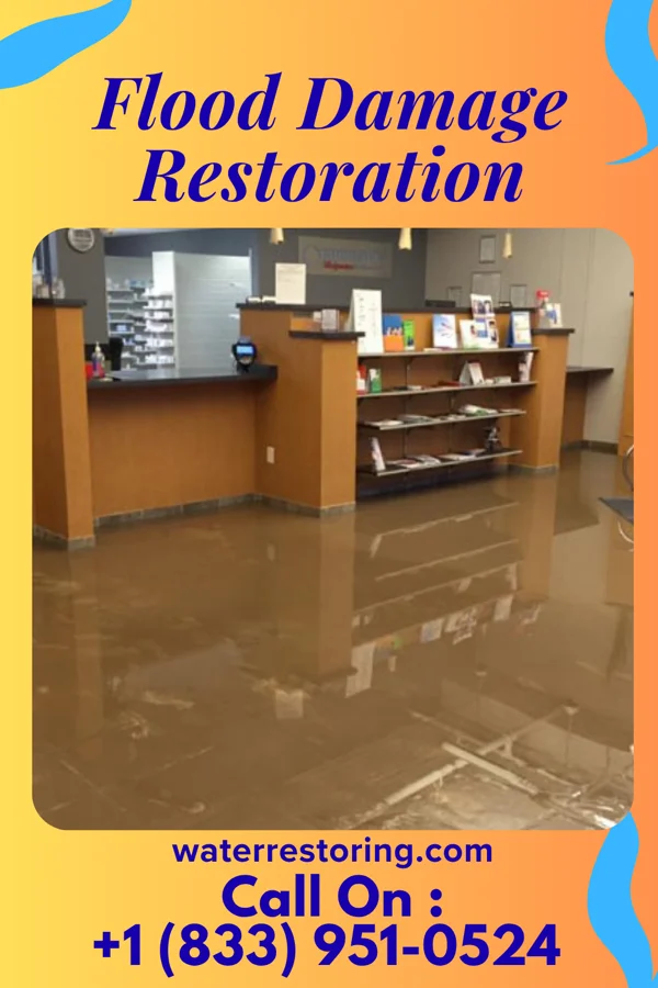 Flood Damage Restoration in Thorp, WI