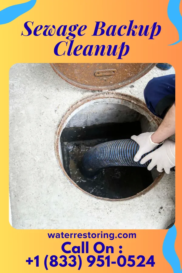 Sewage Backup Cleanup in Thorp, WI
