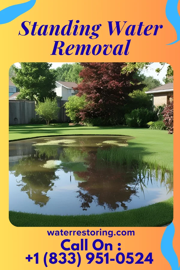 Standing Water Removal in Thorp, WI